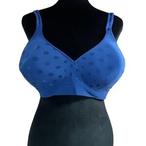 Hanes Wire Free  Padded Tee Shirt Bra Adjustable Plus Size 3XL Blue Polka Dot